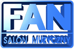 FAN - salon muzyczny