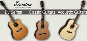 Wybierz swoją gitarę marki Dowina!