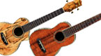 SNAMM09: Ibanez i jego hawajskie inspiracje. 5 nowych modeli Ukulele