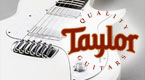 WNAMM08: Taylor w 100% elektryczny