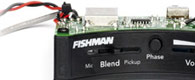 Fishman Ellipse Matrix Blend