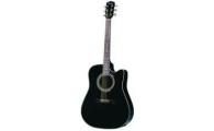 FENDER - DG-20 SCE Acoustic-Electric Cutaway