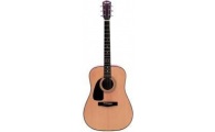 FENDER - DG-10 LH Natural Left Handed Model