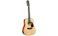 FENDER - DG-14 S-12 NATURAL - 12 String Model