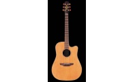 TAKAMINE EAN 10C