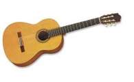 YAMAHA CG 101 - gitara klasyczna