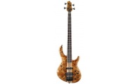 CORT ABMP-1 - gitara basowa