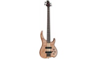 Samick DB5 FM Delta Bass