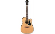 Ibanez V70CE NT