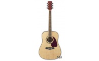 PF-60 SE NT