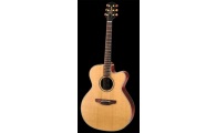 TAKAMINE EAN 20C