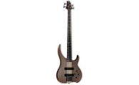 Samick DB5 WA Delta Bass