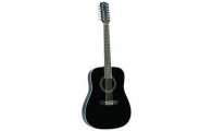 FENDER - DG-16 - 12 String Model