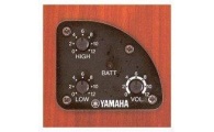 YAMAHA CGX111SC