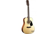 CD-100 12 - 12 strunowa