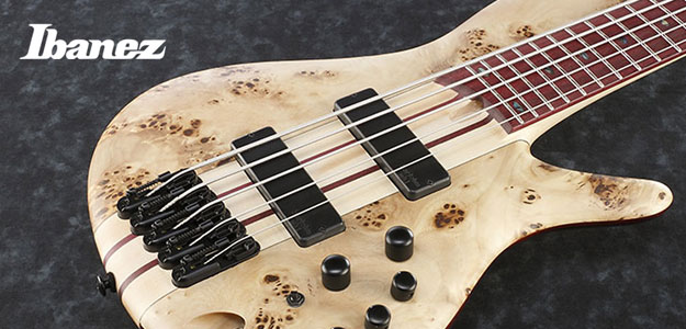 NAMM2016: Terra Firma Bass - Nowy bas Ibaneza