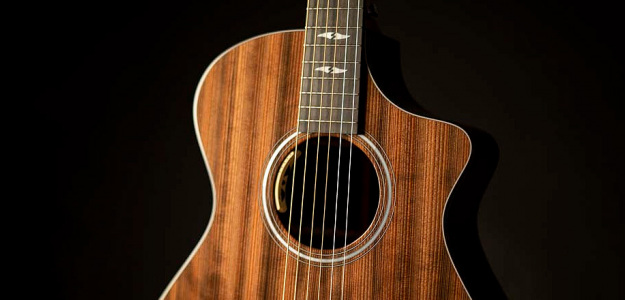 Rocznicowy model Focus SE od Breedlove