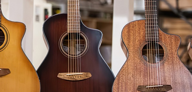 NAMM'20: Nowa, zapierająca dech w piersiach seria od Breedlove