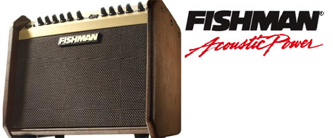 Fishman Loudbox Mini