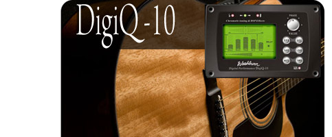 Washburn DigiQ -10