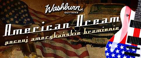 Gitara elektryczna Washburn WI45 Flag