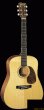 Martin D-16 GT - gitara akustyczna - zdjęcie 1