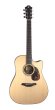 Furch Blue Dc-SW SPE gitara elektroakustyczna - zdjęcie 1