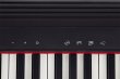 Roland GO:Piano - przenośne pianino cyfrowe 5 oktaw z półważpną klawiaturą - zdjęcie 6