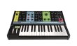 MOOG Grandmother - analogowy syntezator ♦ 30 DNI NA ZWROT ♦ GWARANCJA DOOR-TO-DOOR ♦ SZYBKA WYSYŁKA - zdjęcie 1