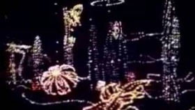 Matmos - Stars &amp; Stripes Forever