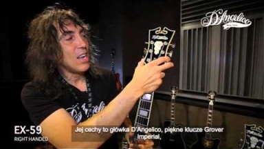 Gitary D'Angelico - Standard Series