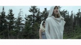 Dirty Projectors - Stillness Is The Move (2009)