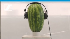 HD 25 ? The Watermelon Challenge | Sennheiser