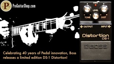 BOSS DS-1 4A with Mike Hermans