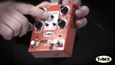 T-Rex Reptile 2_Demo video.mov