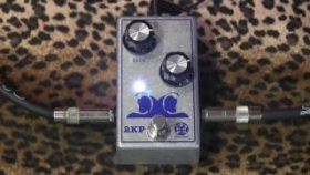 Zenzero 2KP (2 Knob Pony) clean and tasty boost pedal