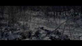 Animations - Silence (Official Video)