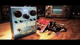 Way Huge Supa-Puss Analog Delay