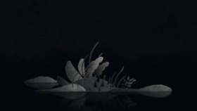 Resina - Nightjar - promo video