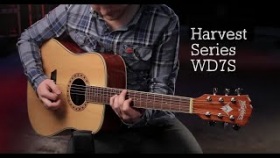 Washburn WD7S