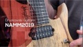 NAMM'19: Nowości od Druzkowski Guitars na rok 2019