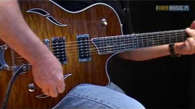 Taylor Guitars (Musik Messe 2009)