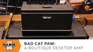 A Boutique Desktop Tube Amp: Bad Cat Paw at NAMM 2020 | Reverb